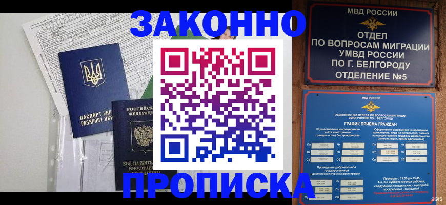 прописка гарантия в Новороссийске